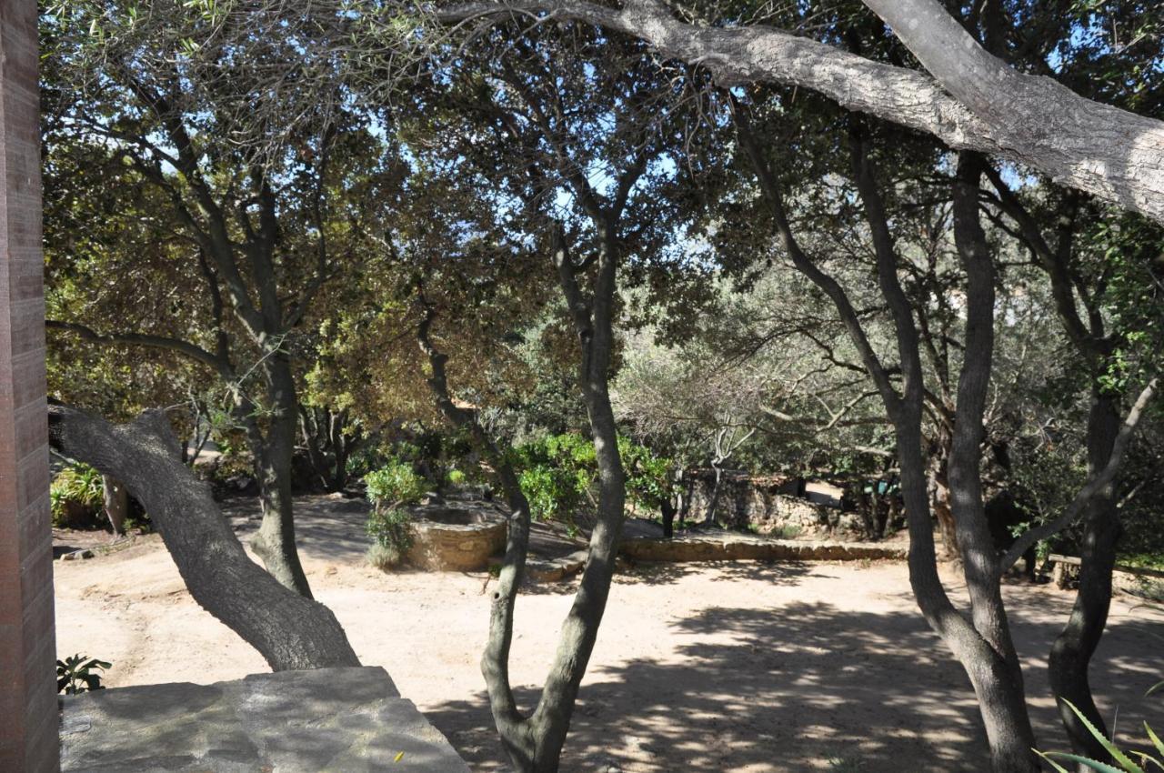 2Ba Domaine Malacucina Lumio מראה חיצוני תמונה