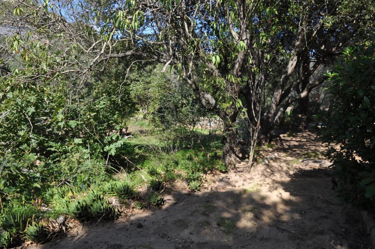 2Ba Domaine Malacucina Lumio מראה חיצוני תמונה