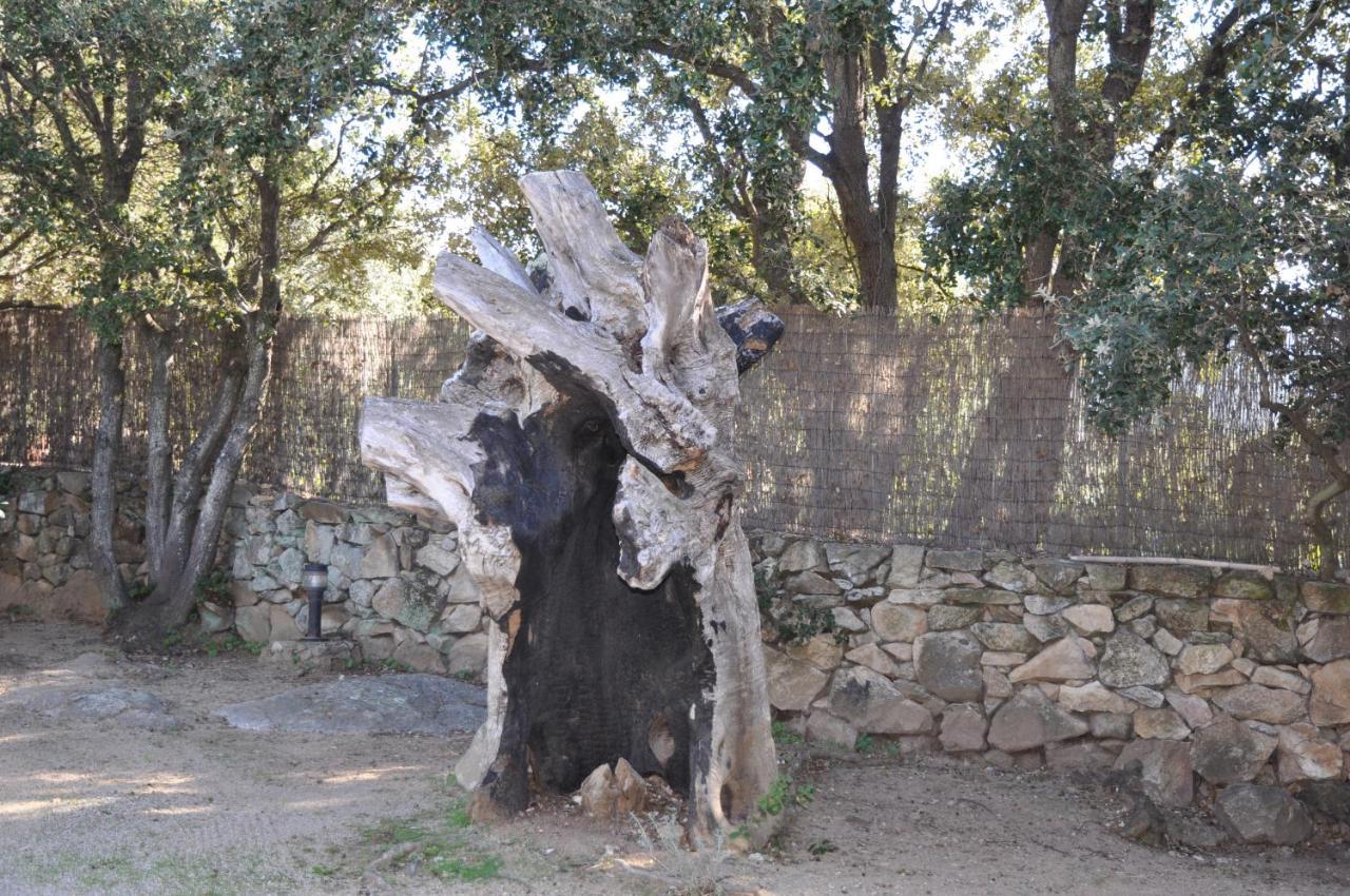 2Ba Domaine Malacucina Lumio מראה חיצוני תמונה