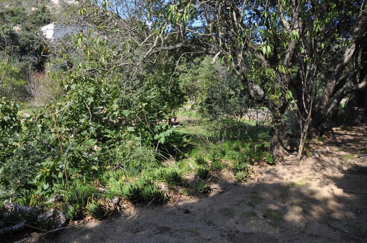 2Ba Domaine Malacucina Lumio מראה חיצוני תמונה
