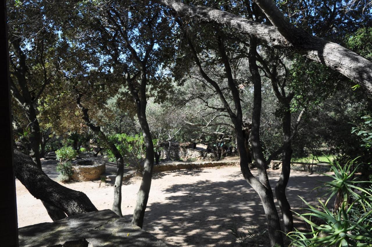 2Ba Domaine Malacucina Lumio מראה חיצוני תמונה
