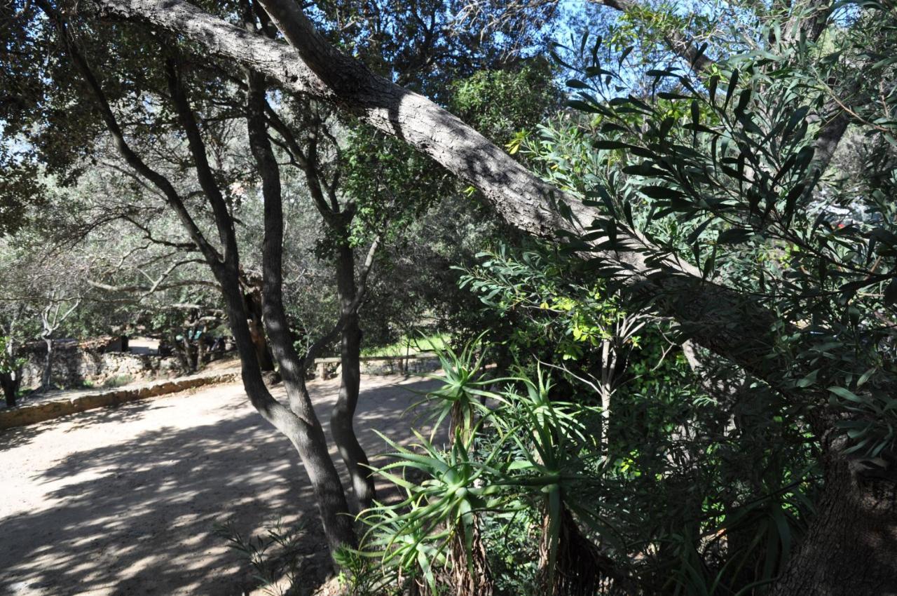 2Ba Domaine Malacucina Lumio מראה חיצוני תמונה