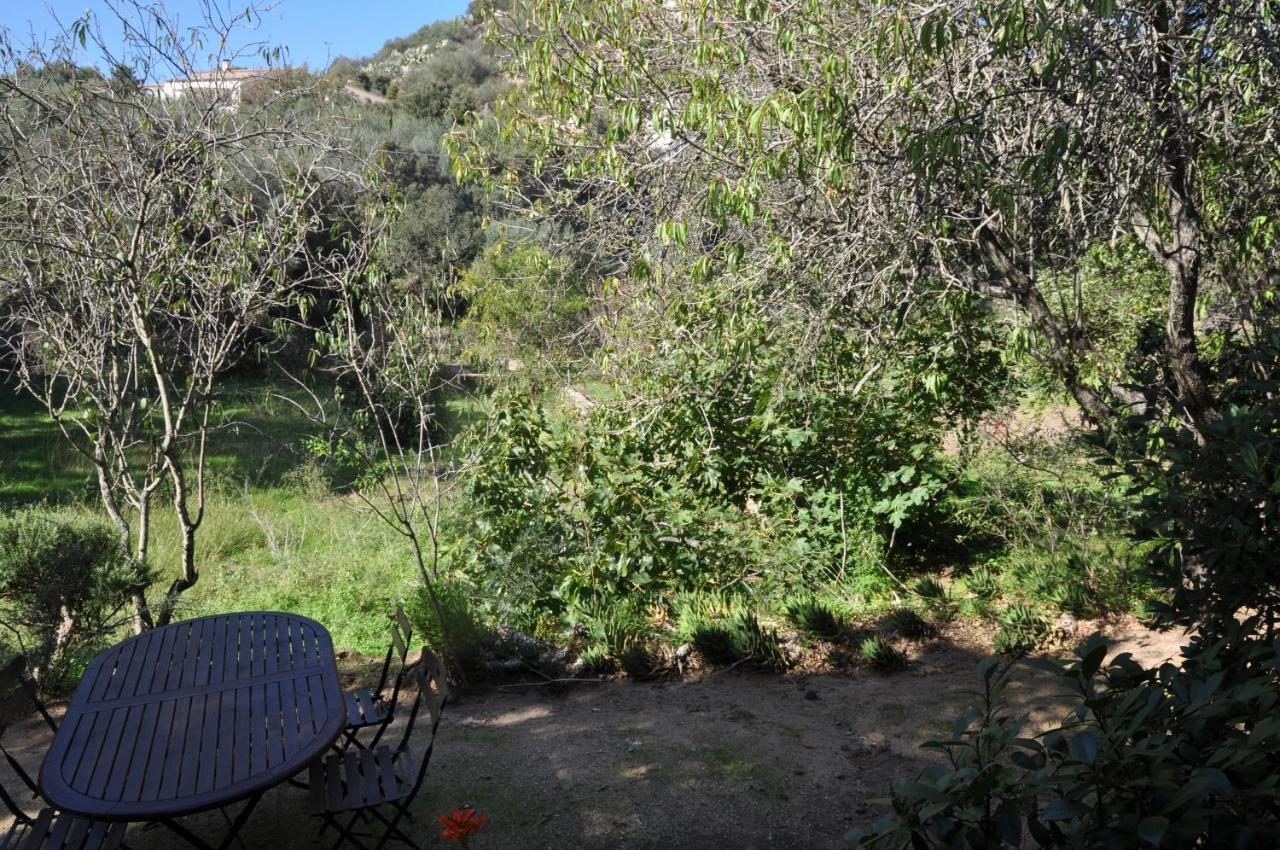 2Ba Domaine Malacucina Lumio מראה חיצוני תמונה